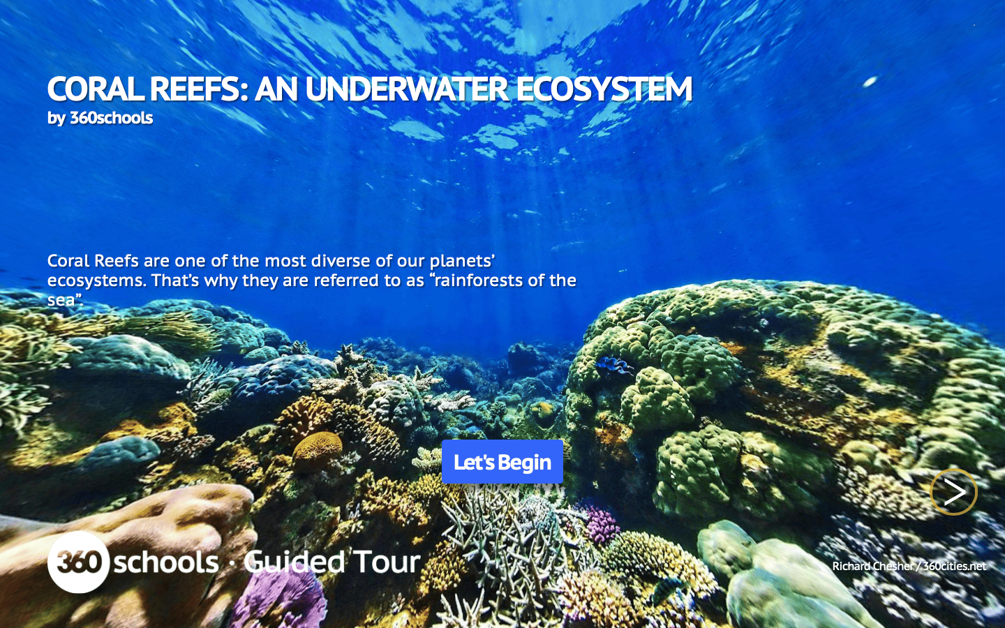 Coral Reefs Guided Tour
